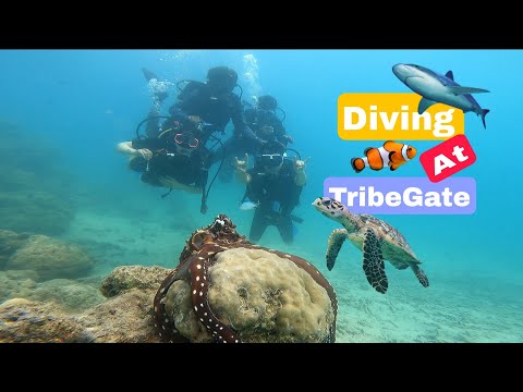 Scuba Diving in Havelock Island, TribeGate With Blue Corals Dive