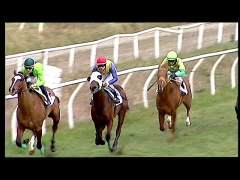 Napoli Galoppo 01/02/2022 - 2ª corsa