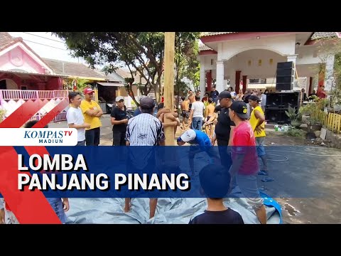 Lomba Panjat Pinang Sambut HUT RI Ke - 80