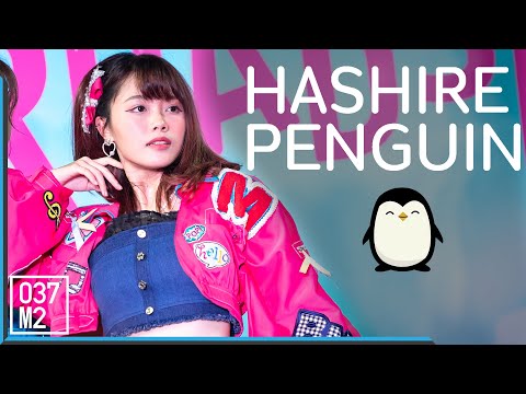 200823 BNK48 Music - Hashire Penguin @ Road Show Chaeng Wattana [Fancam 4K60p]