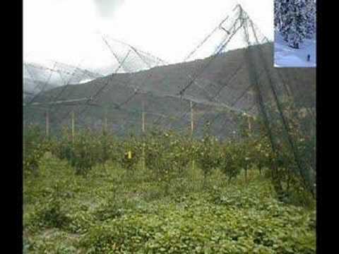 Terreno en Aguascalientes - 180m2