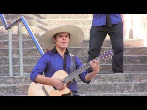 GRUPO RASTROS PICAFLOR TARMEÑO