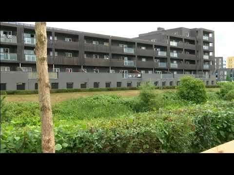 End Our Cladding Scandal campaign relaunch - 10 steps to make it happen - ITV News London - 28/9/20