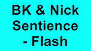 BK & Nick Sentience - Flash
