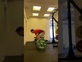 Deadlift clip where I get a crack in the back
