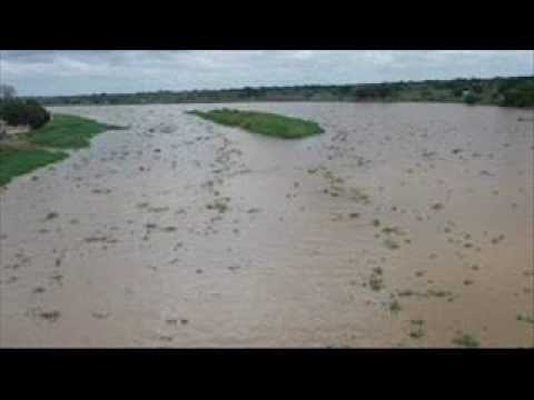FG  Arauca Arriba - José Alí Nieves