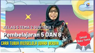 Kelas 5 Tema 2 Subtema 1 PB 5 dan 6