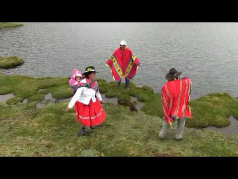 Dany de Grau - Socco Toro (TORIL)