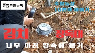 Download lagu 김치 장독대- 나무 아래 땅속에 묻기 | 비닐하우스 배수로 설치 mp3