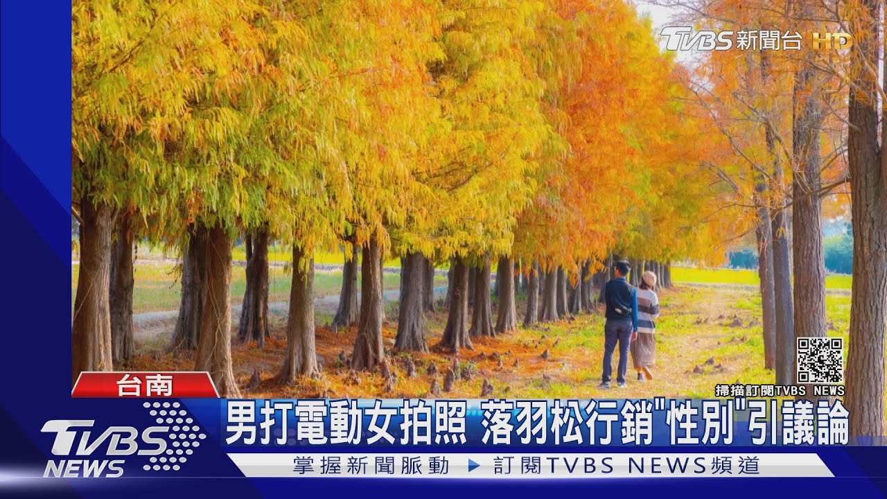 男打電動女拍照 落羽松行銷「性別」引議論