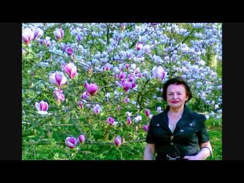 Gdzie Moja Młodość...