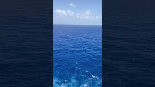 Cruise Life Waking Up To This Beautiful View
