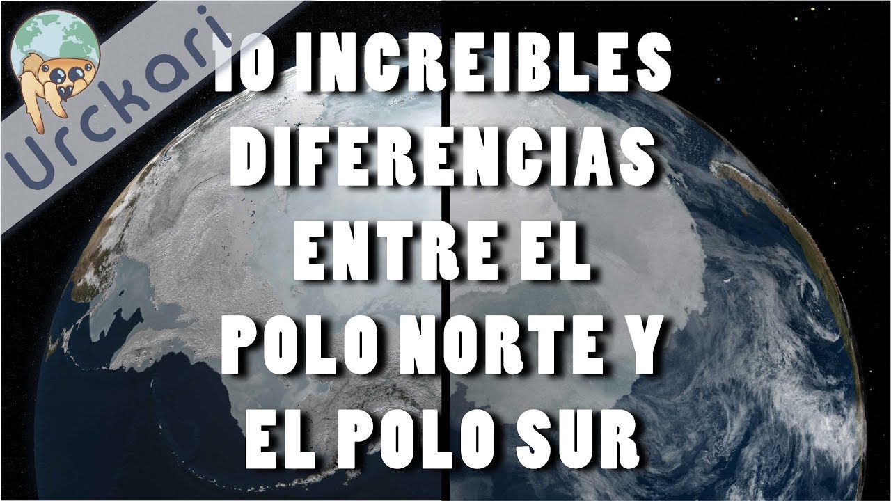 10 Increíbles Diferencias Entre el Polo Norte y el Polo Sur