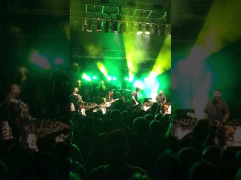 Dropkick Murphys- Irish Rover