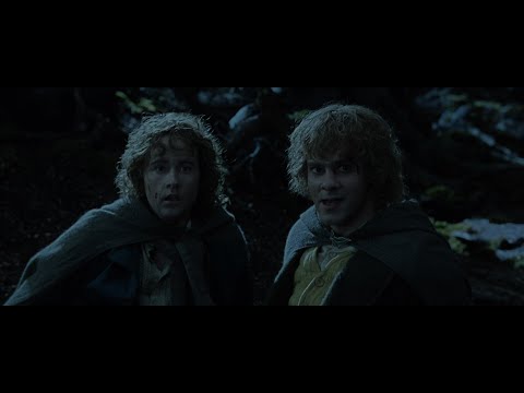 Age of the Ring / Two Towers Campaign with Mery and Pippin in Fangorn! Episode 4