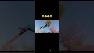 Download lagu Funny scene of The God's Must Be Crazy😆😆😆#funnymoments #funnyshorts #funnyvideos #funnyscenes #viral mp3