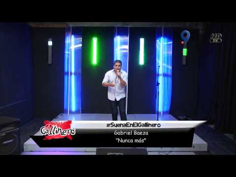 Gabriel Baeza - Nunca más