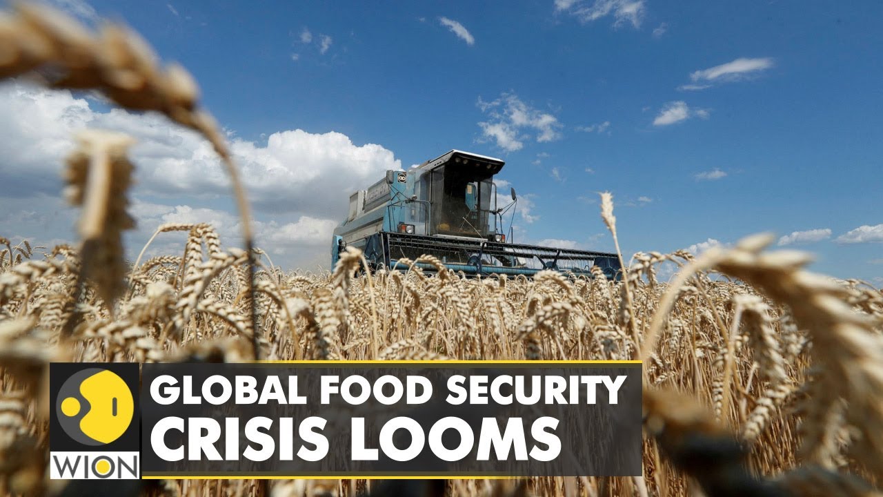 Global food security crisis looms
