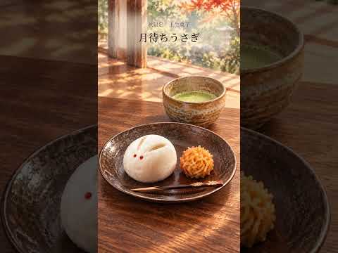 和の魅力が伝わる水彩風PR動画を制作します イメージ1