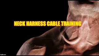 Neck Harness Training With Cables Neck Harness Training With Cables