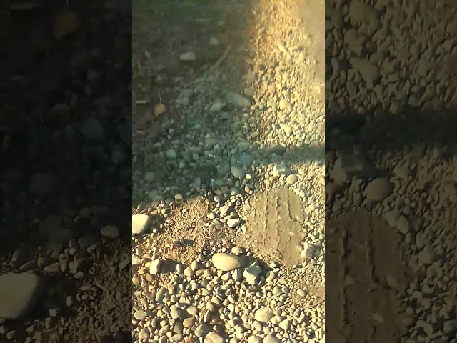 Malaя - Ищу