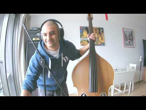 Don Gibson - Sea Of Heartbreak (Double Bass Cover)