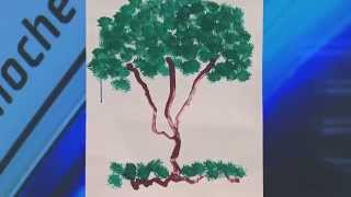 Telenoche - #MemoriasDeUnElefante - Santo muestra el dibujo de un elefante