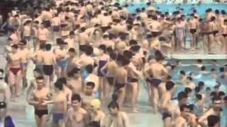 coach station reunion - el que va dir