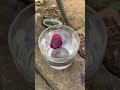 SUPER EXPERIMENT Telugu Experiment Science Andhrapradesh Odisha Food