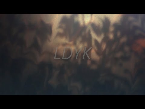 LIZANN & Jonas Hanika - LDYK (Original Lyrics Video)