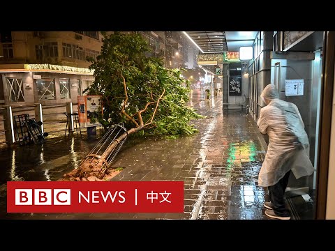 台風
