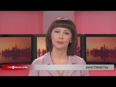 Новости ПО БУДНЯМ 08.12.2025