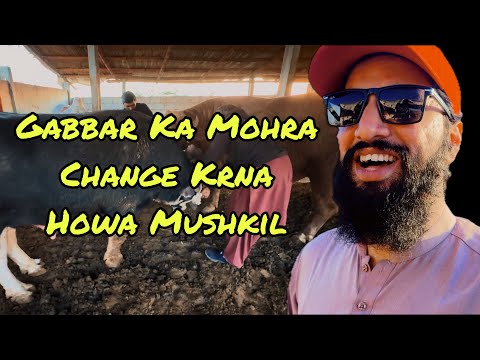 2025 Ka Legendary VLOG 💥 | Challenge 😜 | My ✋🏻 Update | AR Maani