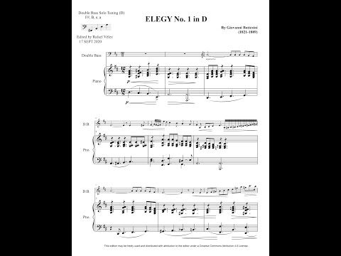 Giovanni Bottesini – Elegie in D (Double Bass & Piano)