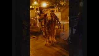 preview picture of video 'Atlanta Horse Drawn Carriage Videos-Isn't it romantic?'