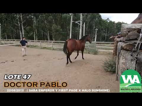 Lote DOCTOR PABLO