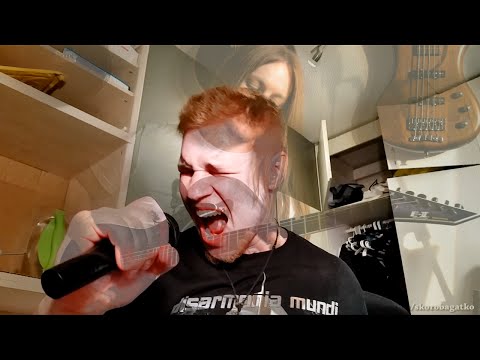 "Delight And Angers" - "In Flames" Full Cover FT. Roman Skorobagatko