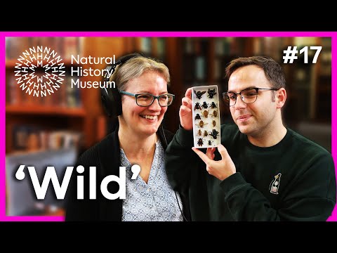 Josh debunks the myth of ancient cyclopses | The 'Perfect' Specimen Ep17