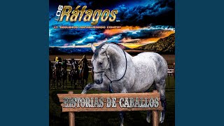 El Solitario Music Video