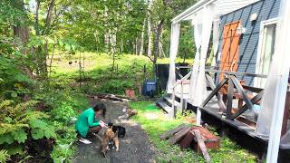 【移住】犬猫８匹と一緒に田舎暮らしを楽しむ【北海道】