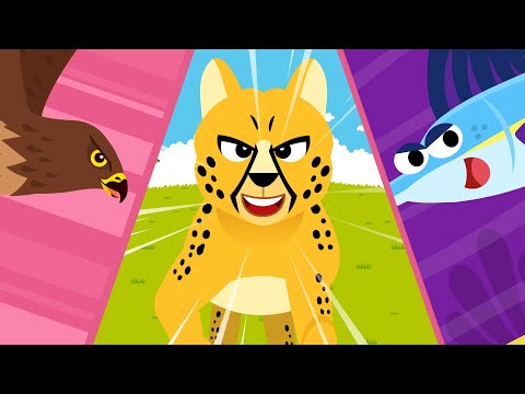 I’m the Fastest ♪ | Speed! | Nursery Rhymes Compilation 10m | Animal Songs★TidiKids