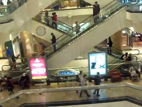 Otis Scenic Traction Elevators@Water Tower Place Chicago IL