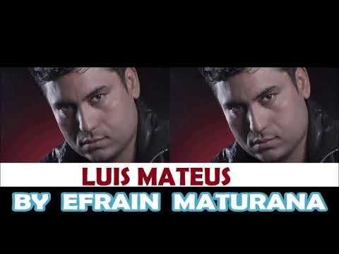 NO SABES LO QUE QUIERES - LUIS MATEUS