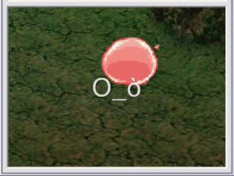 Ragnarok DS : Addestramento del Novice