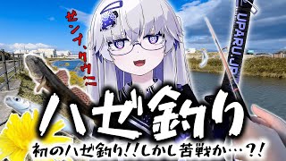 :0 - 【ハゼ釣り】初心者釣りVTuber、水底に眠る高級魚を狩っていくぜ!!…と思いきや、ギリギリの戦いだった!!!【VEE/亞生うぱる】