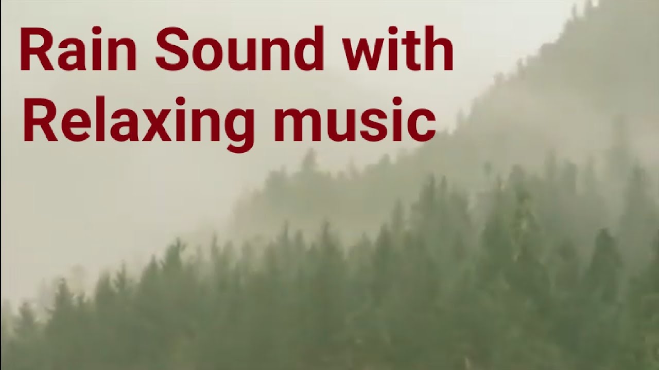 Gentle Rain Sounds to Meditate, Sleep, Study, Relax and Reducing Stress @ Amazon Rain Forest