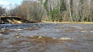 preview picture of video 'River Ogre in Latvia. Rapids near Ledmane.  11 April 2010.'