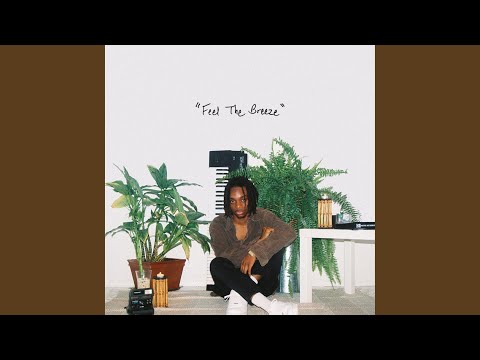 Video thumbnail for Feel The Breeze