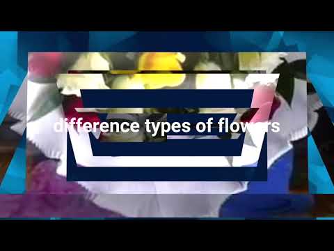 Different types of flowers