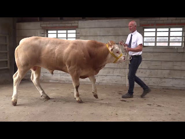 Video BAC Pion Prisma